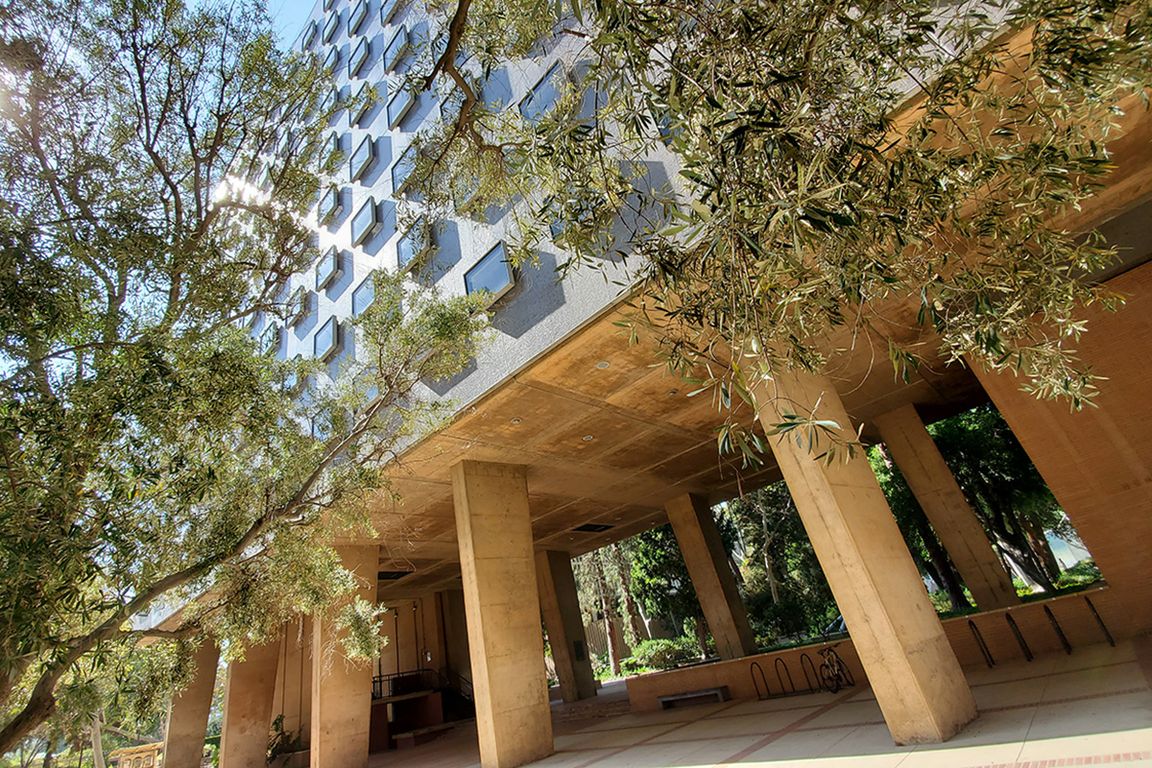 Awards empower UCLA members to expand university’s global reach